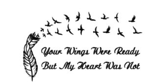 wings-were-ready-heart-was-not