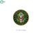 Army car magnet 11